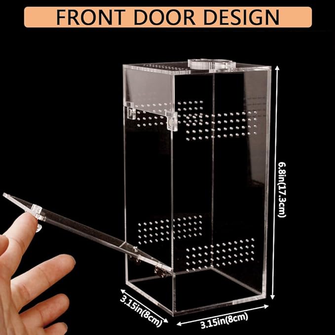 Jumping Spider & Tarantula Enclosure, Snail & Praying Mantis Habitat, Insect & Small Reptile Terrarium (6.8x3.1x3.1inch)