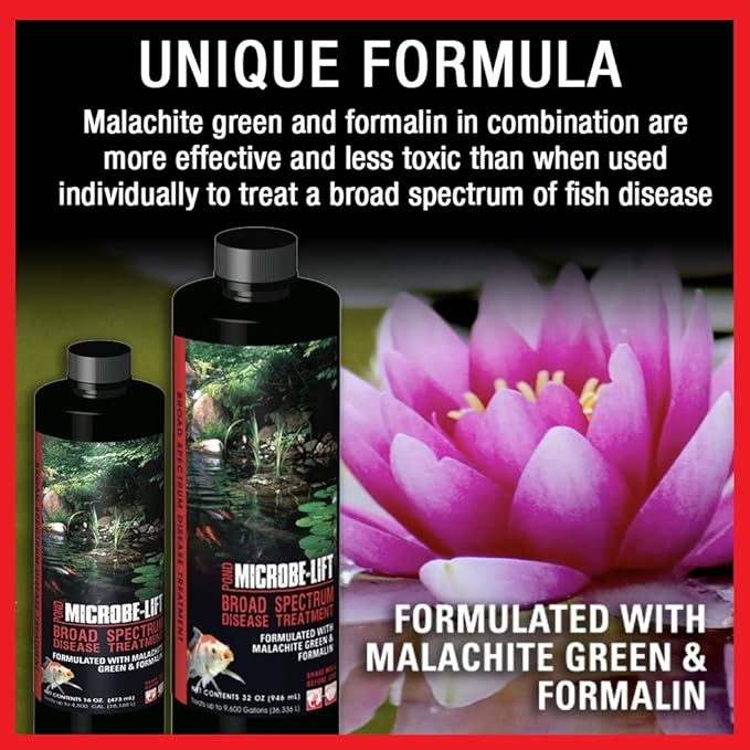 MICROBE-LIFT BSDT16 Broad Spectrum Disease Treatment for Ponds and Outdoor Water Garden, Safe for Live Koi Fish, Goldfish, Plants, and Decor, 16 Fl Oz