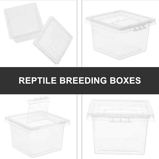 balacoo 20pcs Box Terrariumstransparent Transparent Lizard House Home Snake Hatching Plastic Keeper Tank Case Clear Portable Spider Jumping Bearded Container for Turtles -