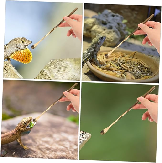 Reusable Reptile Spoon Pet Food Scoop Lizard Food Feeding Tool Stainless Steel Reptile Feeding Spoons Set