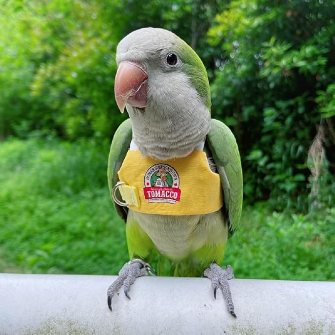 Bird Flight Harness Vest, Parrot Flight Suit with Leash for Parakeets, Bird Flying Clothes with Rope and Handle for Outdoor Activities Training, Anti Bite (4XL)