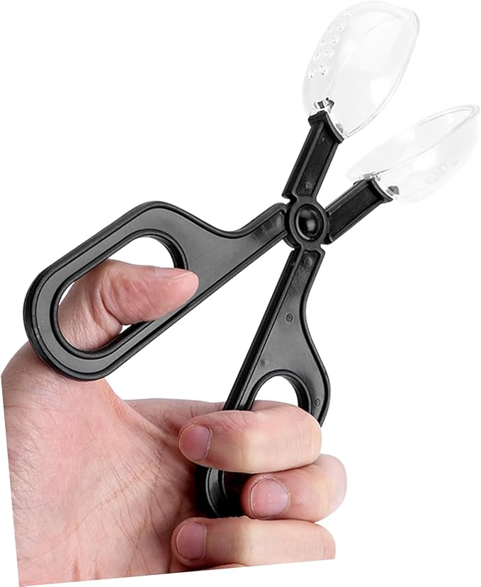 POPETPOP 3pcs Reptile Enclosure Feeding Clamp Lizard Food Clip Material Easy to Use for Tortoise Reptile Care