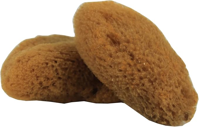 2 PC Hermit Crab Sponges