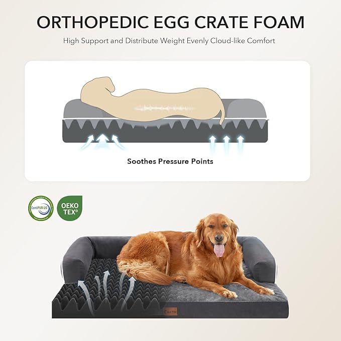 Orthopedic XXL Dog Beds, Waterproof Egg Crate Foam Big Pet Bed for All Breed Sized Dogs 53x42Inch, Washable Extra Large Dog Couch Bed with Removable Cover and Non-Slip Bottom, Dark Grey