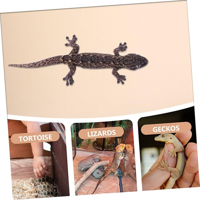 ERINGOGO Reptile Carpet Substrate Liner for Tortoise Snake and Terrariums Easy to Clean Comfortable and Bedding Lotus
