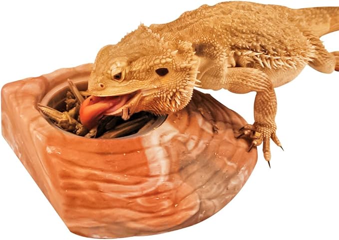 Healthy Herp Dragon Treat Grasshoppers - All Natural, Nutritious Turtle Food, Bearded Dragon Tank Accessories - for Bearded Dragons, Box Turtles, Aquatic Turtles - 0.56 oz (16g)