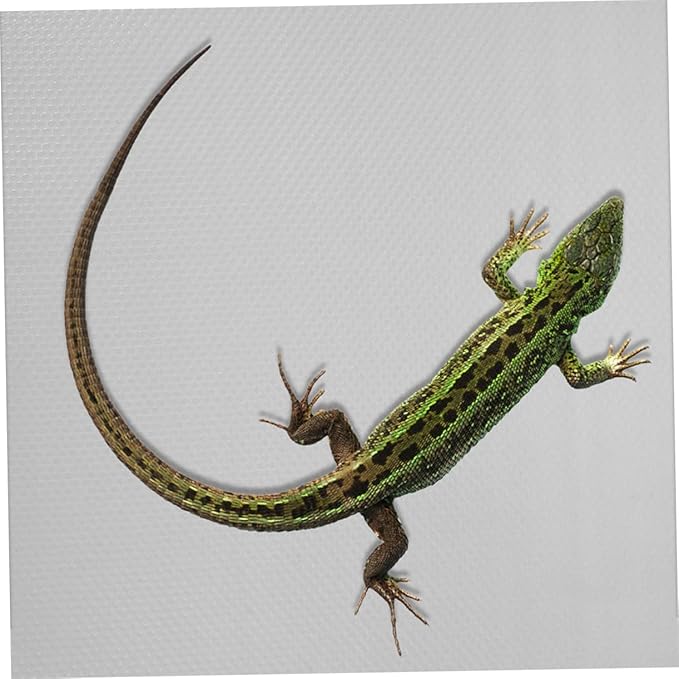 Reptile Carpet Mat for Bearded Dragon Snake Gecko Terrarium Substrate Liner Soft Bedding for Reptile Tanks for Lizards Turtles and Snakes 100% Safe Material