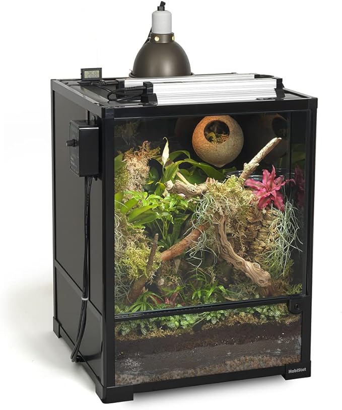 Habistat Glass Terrarium for Reptiles 18"x18"x24" – Stackable Reptile Enclosure for Inverts & Amphibians with Lock & Waterproof Base, Ideal Terrarium Tank for Chameleons, Geckos and Bioactive Setups