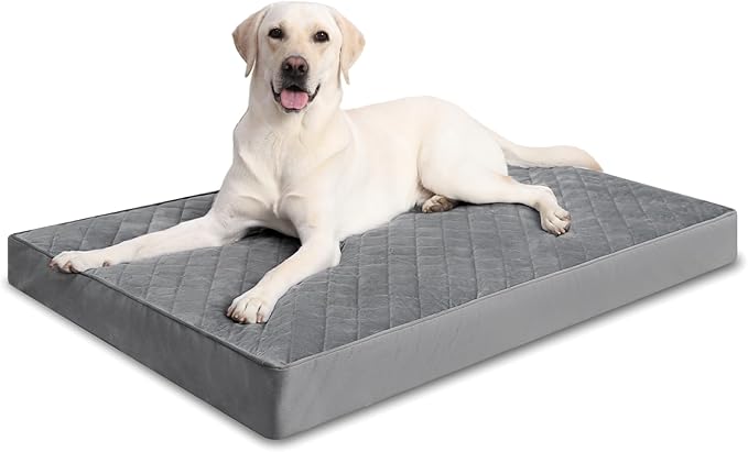 NUPIDA Orthopedic Dog Beds Large Sized Dog Waterproof Lining with Removable Washable Cover and Non-Slip Bottom, Quilting Pet Bed, 35x23 Inch, Dark Gray