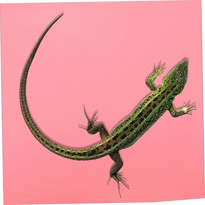 BESPORTBLE Crested Gecko Reptile Heat Mat Bedding Enclosure Pad Pet Bedding Snake Terrarium Accessories Reptile Supplies