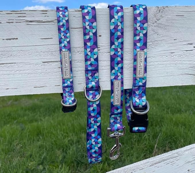 Lucky Love Dog - Adjustable Dog Collar and Leash Set with Easy Click Buckle for Medium Dogs, Durable, & Comfortable Collar for Male & Female Dogs, Puppies & Adult Ones - Jasper Combo, Medium