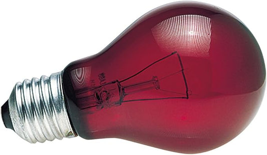 Zoo Med Nightlight Red Reptile Bulb 15 Watts