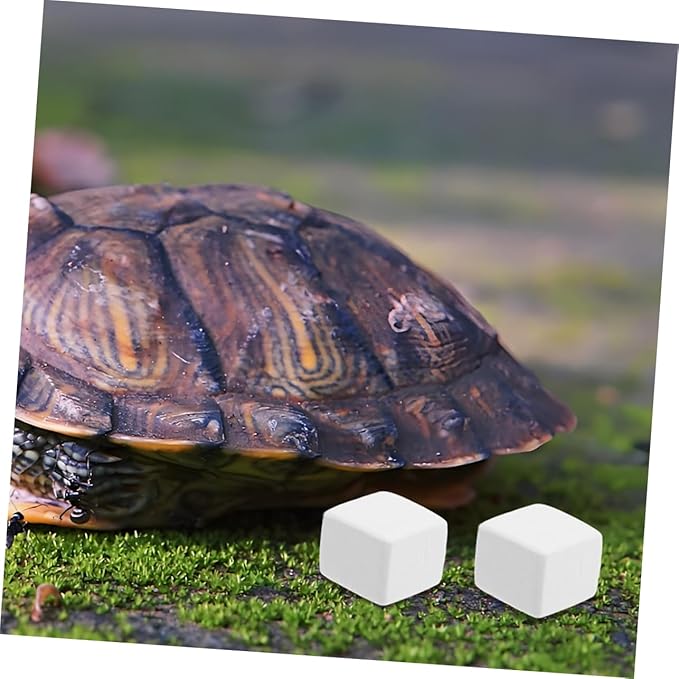 BESPORTBLE 12pcs Natural for Reptiles Durable Pet Accessory for Teeth Maintenance and Chewing Prevention for Lizard Crab and Frog Habitats