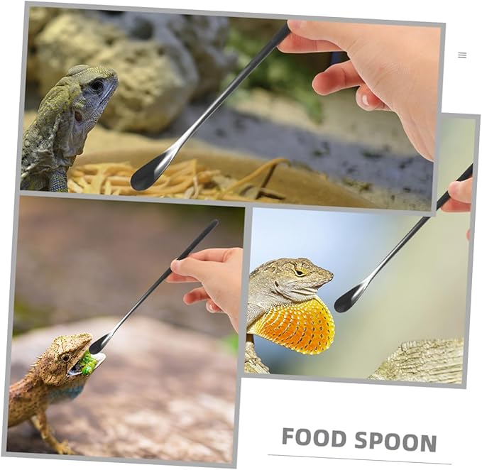 BESPORTBLE 3Pcs Reptile Food Spoon Set for Small Animals Portable Lizard Food Scoop Adjustable Feeding Tools for Bearded Dragons and Other Pets