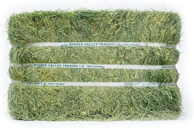 Border Valley Bermuda Grass Hay Bale in Bag, 50 lb, High Fiber Hay for Rabbits, Guinea Pigs, Chinchillas, Tortoises, Horses and Livestock - Soft Textured Grass, Farm-to-Home Freshness
