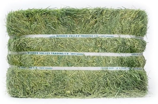 Border Valley Bermuda Grass Hay Bale in Bag, 50 lb, High Fiber Hay for Rabbits, Guinea Pigs, Chinchillas, Tortoises, Horses and Livestock - Soft Textured Grass, Farm-to-Home Freshness
