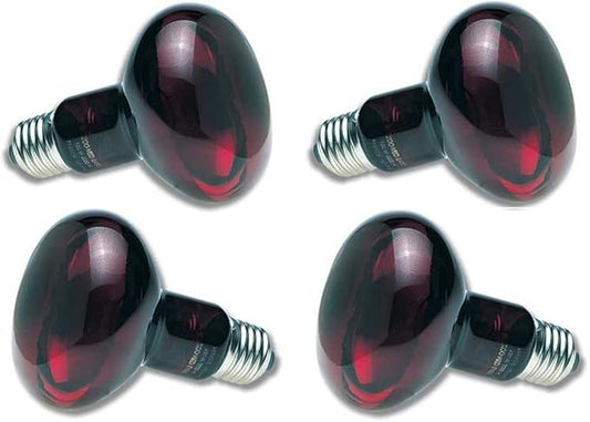 Zoo Med Nocturnal Infrared Incandescent Heat Lamp 150 Watts (4 Pack)