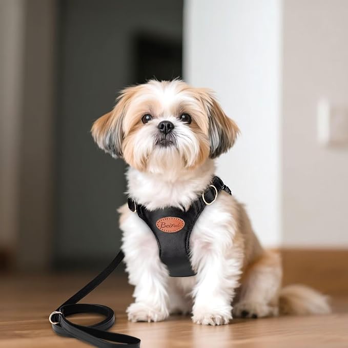 Beirui ‌Stylish PU Leather Dog Harness‌ and Leash Set for Small Dogs, ‌Adjustable Step in Puppy Harness with Breathable Mesh Lining and Durable Metal Buckle for Walking Traveling(Black,XS)