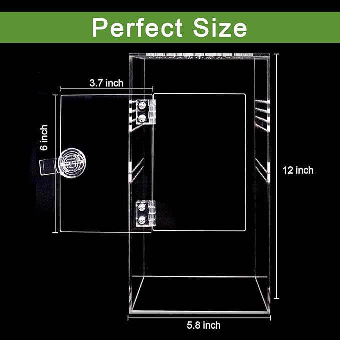 Jumping Spider Enclosure Acrylic Jumping Spider Terrarium with Front Opening Door, Micro Habitat Terrarium for Small Tree Dwelling Reptiles, Arboreal Tarantula Enclosure (6X6X12 Inches)