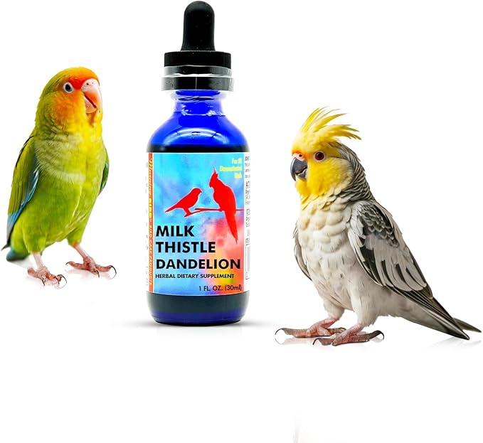 Morning Bird Milk Thistle & Dandelion Extract 1 fl oz – Organic Herbal Supplement for Birds – Supports Liver Health & Natural Detox – Suitable for All Bird Species