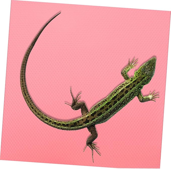 150m Crawling Mat for Reptiles Reptile Carpet for Terrarium Snake Bedding Non-wear Nest Mat for Pet Lizards