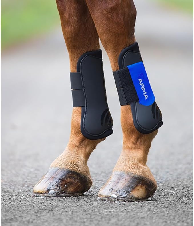 Shires ARMA Tendon Boot