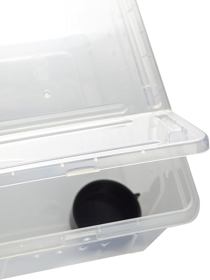 OMEM Portable Reptile Terrarium Habitat for Mini Pet Houses Breathable Holes Stackable Container (M)