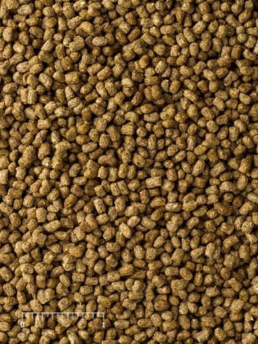 Mazuri® Herbivorous Reptile Diet | Food for Plant-Eating Herbivorous Lizards, Green Iguanas, Uromastyx Lizards | 25 Pound (25 LB) Bag