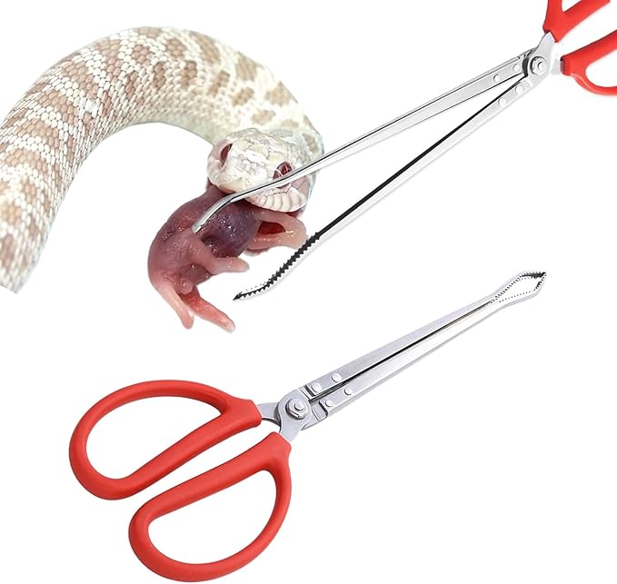 15 Inch Snake Feeding Tongs, Reptile Feeding Tongs,Snake Grabber Tool Stick Reptile Tongs for Lizard Reptiles,Snakes,Tank Accessories Terrarium Supplies (Curved Head)