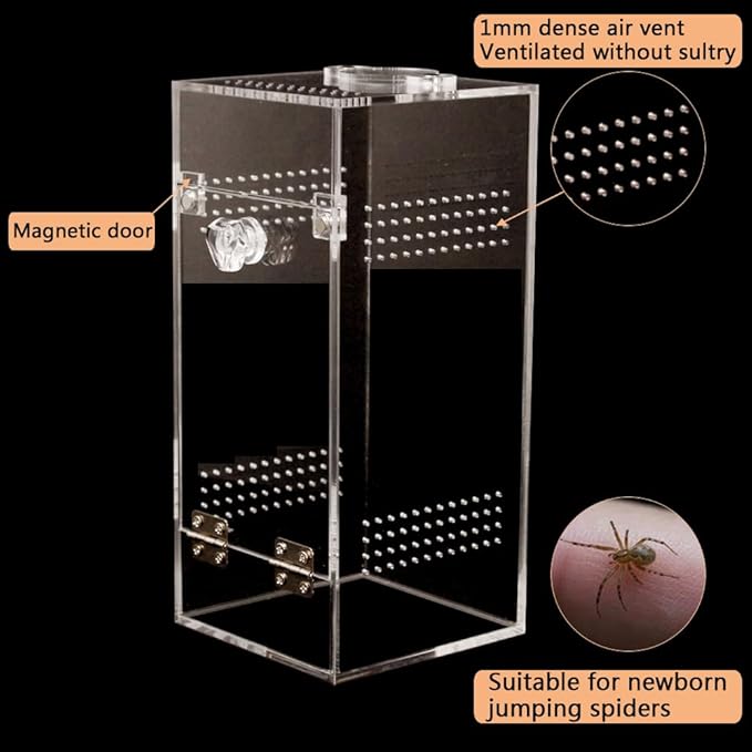 Jumping Spider & Tarantula Enclosure, Snail & Praying Mantis Habitat, Insect & Small Reptile Terrarium (6.8x3.1x3.1inch)