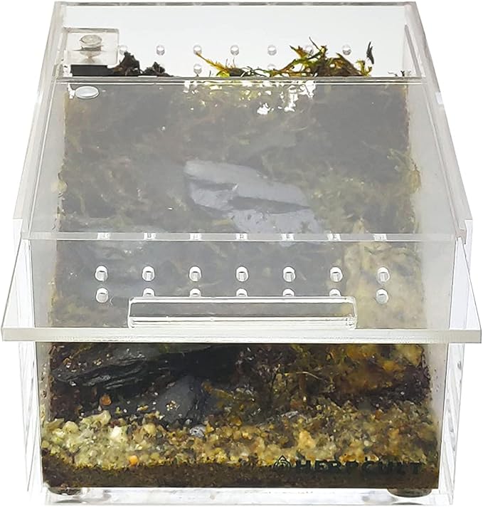 Herpcult Magnetic Acrylic Mini-Flat Enclosure 3 x 4 x 2.5