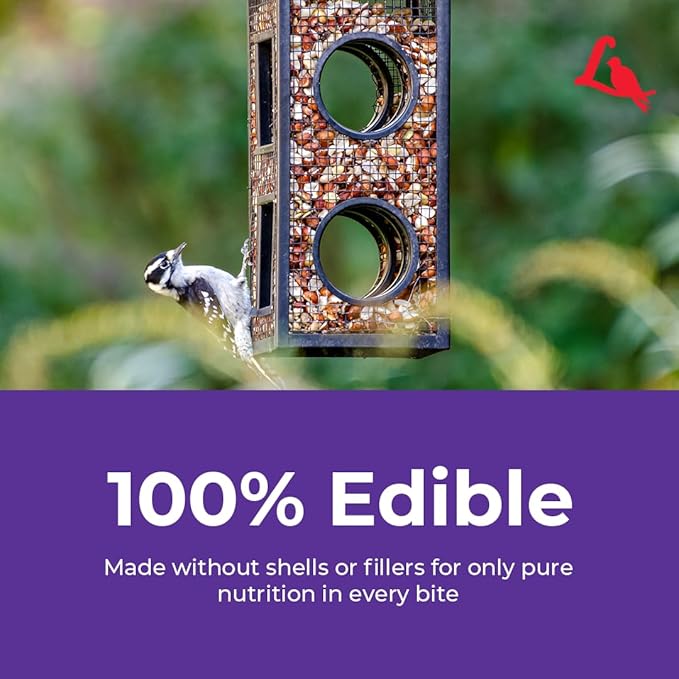 Lyric Delite Wild Bird Seed for Outside Feeders - No Waste Bird Food, Nuts & Seeds Mix, Attracts Buntings, Chickadees & Finches, 10 lb (Pack of 2-5 lb Bags)