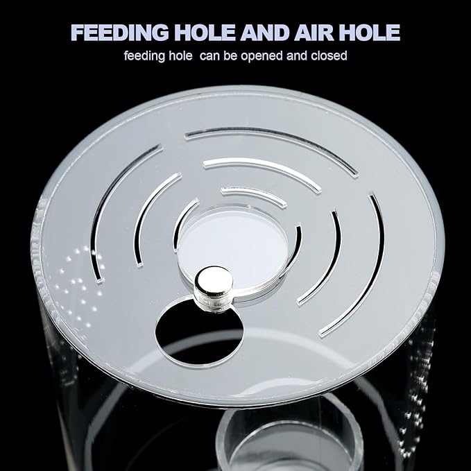 Jumping Spider Enclosure Starter Kit with Feeding Dish, Tarantula Terrariums Cribs for Mantis Snails Ladybugs Insect, Micro Habitat Cage Accessories