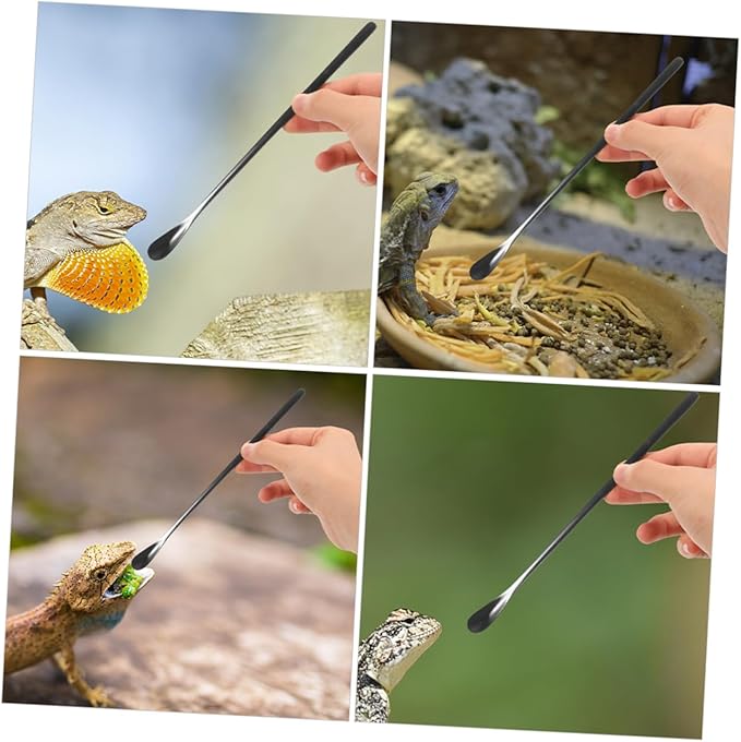 POPETPOP 3pcs Reptile Accessories Small Animal Feeding Spoon Pet Food Holder Spoon for Gecko Lizards