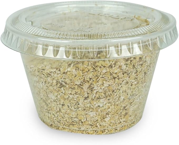 Josh's Frogs Butterworms (10 Count) for Reptiles, Amphibians, Insects & Arachnids