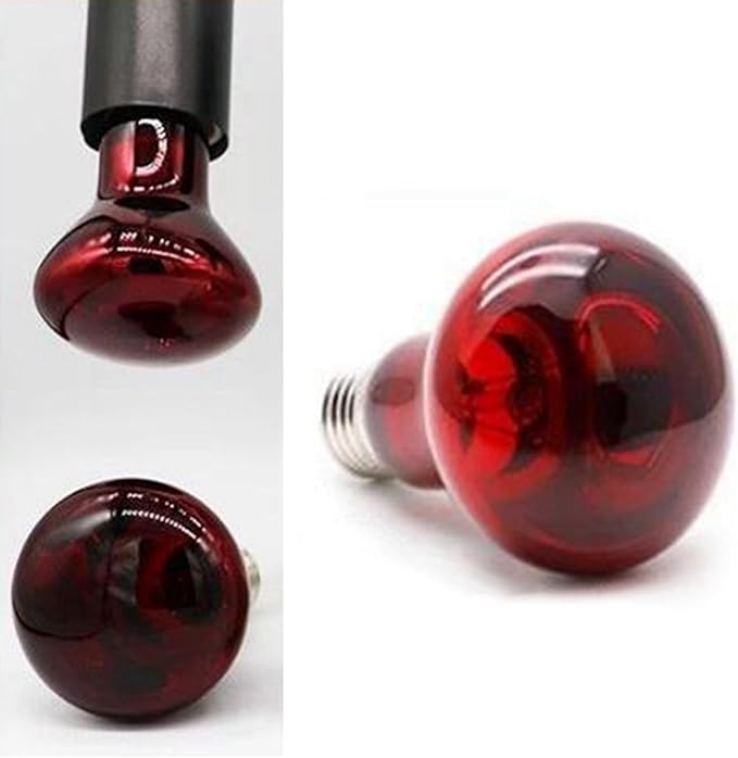 2 Pack 100W Reptile Heater Bulbs, Amphibian Infrared Sunning Bulbs, Reptile Heater Bulbs ForTurtles, Lizards and More.