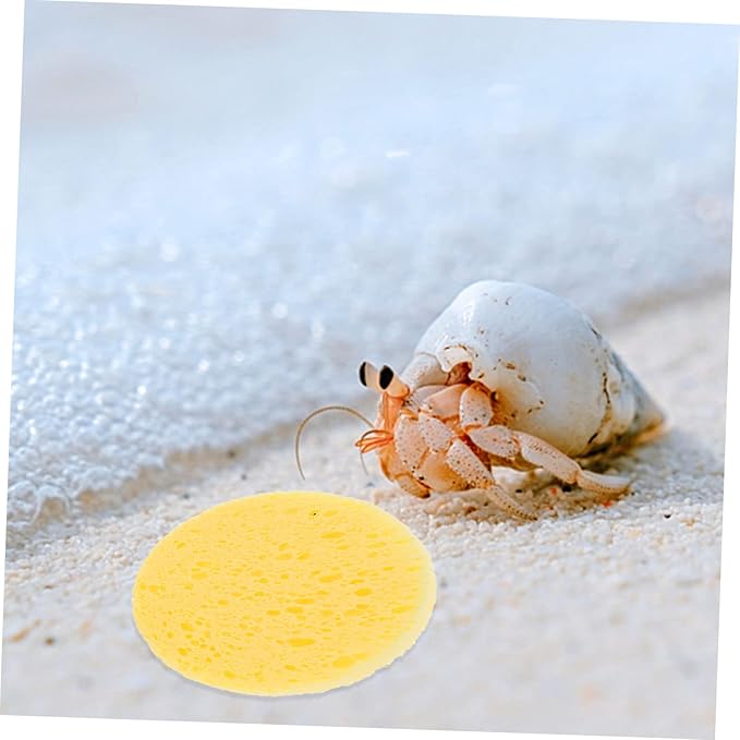 25pcs Crab Sponges for Humidity Maintenance Pet Tanks Multi-Purpose Cleaning and Makeup Use Unbleached Natural Sponges for Crabs and Other Pets