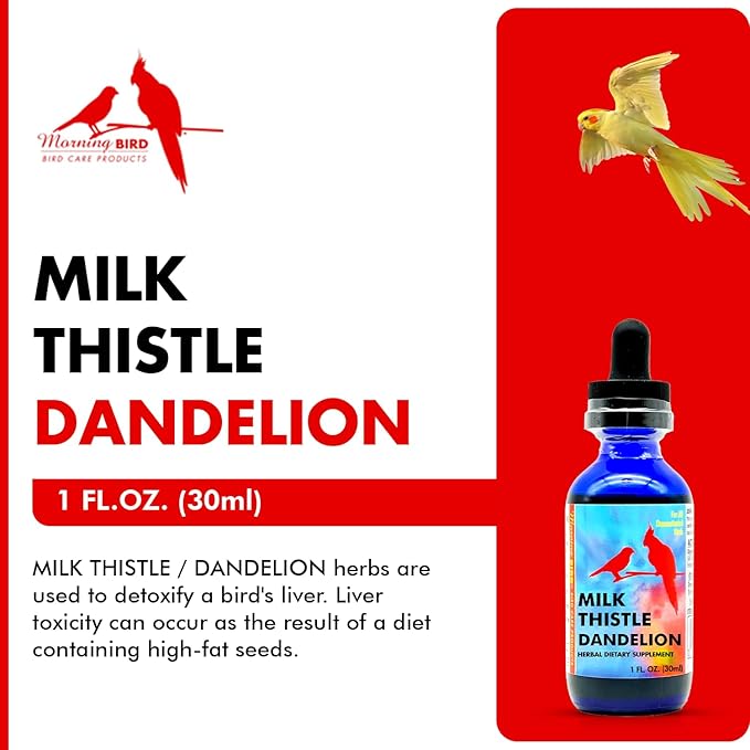 Morning Bird Milk Thistle & Dandelion Extract 1 fl oz – Organic Herbal Supplement for Birds – Supports Liver Health & Natural Detox – Suitable for All Bird Species