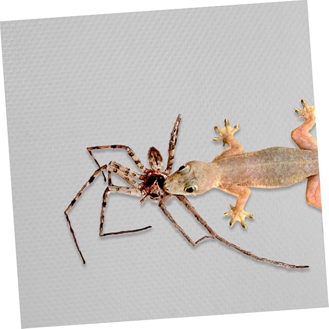 Eva Reptile Carpet Terrarium Substrate Liner Bearded Dragon Bedding Lizard Tank Mat Snake Terrarium Accessories and Gentle