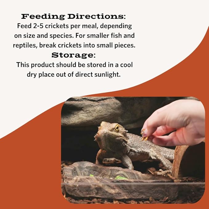 Fluker's Freeze Dried Crickets for Reptiles, Packed with Protein and Essential Nutrients, 1 lb. Value Pack