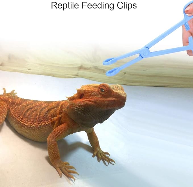 Reptile Feeding Tongs Reptile Feeding Clip Reptile Plastic Tweezers Tongs Feeding Tool