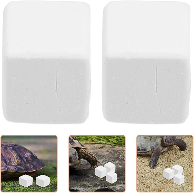 BESPORTBLE 12pcs PET Natural Blocks for Reptiles Supplement for Shell Growth and Health Essential Reptile Accessories for Terrarium Kits