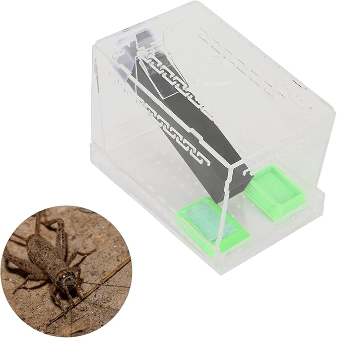 Acrylic Feeding Cricket Keeper Pen with Tubes Care Kit Tank Box for Reptile (Small 9x9x11cm/ 3.54x3.54x4.33in)