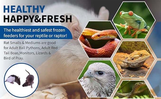 MiceDirect Frozen Rat Combo Pack Rat Smalls & Rat Mediums Feeders Snake Food for Reptiles, 40 Ounce (50 Count)