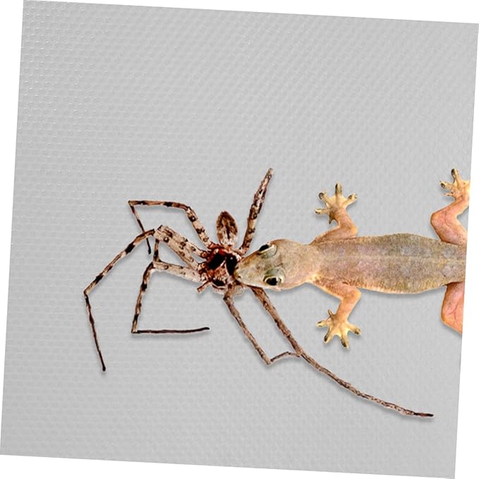 Crawling Carpet for Reptiles Snake Terrarium Accessories Bearded Dragon Bedding Eva Mat Tortoise Substrate