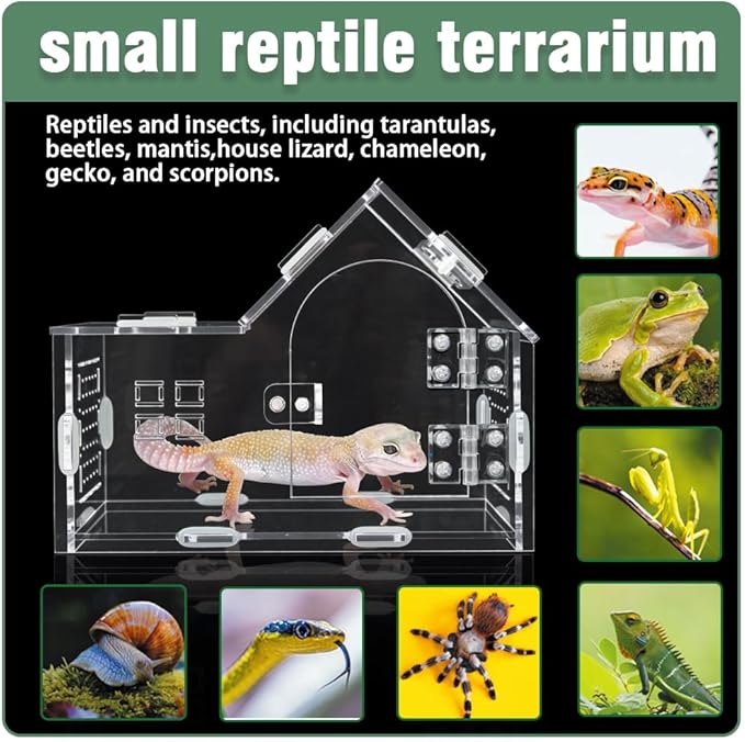 Jumping Spider Enclosure, Acrylic Cabin Terrarium with Sloped Roof & Magnetic Front Door, for Arboreal Pets, Mantis, Small Reptile Habitat (Transparent Color, L 7.9",W 3.9",H 5.9")