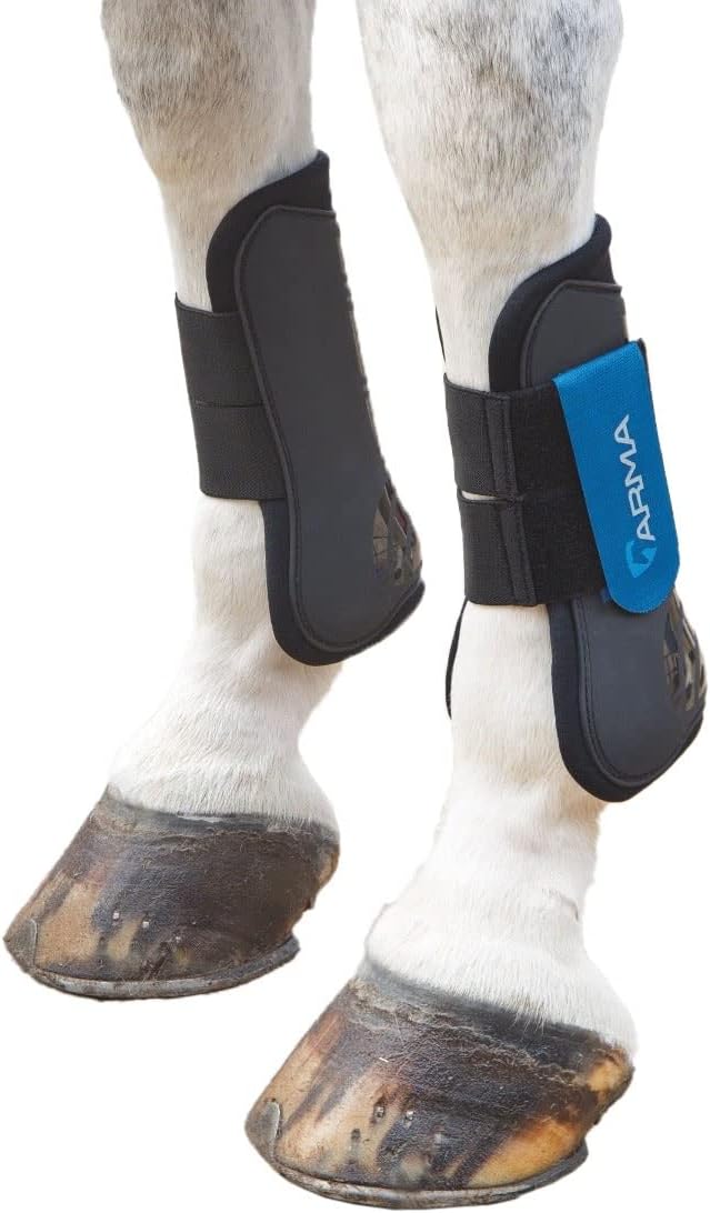 Shires ARMA Tendon Boot
