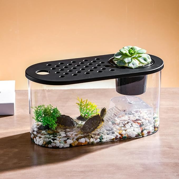 Small Turtle Tank Kit, Reptile Aquarium with Basking Platform, Decor Stones & Water Grass – Habitat for Turtles, Hermit Crabs, Fish – Ideal for Home or Office (12" x 6" x 12")