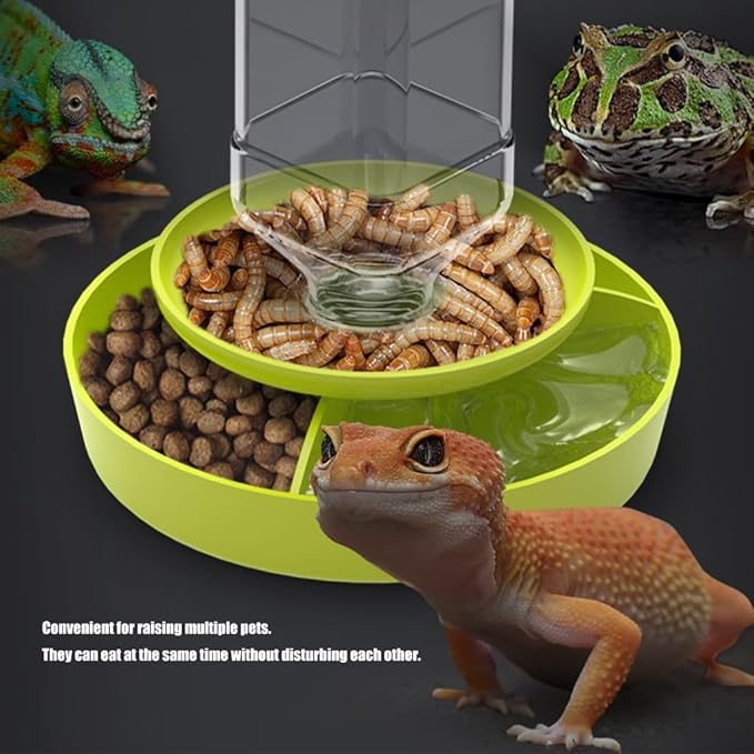 Auto Refilling Reptiles Dispenser Multi Level Structure Clear Monitoring Panel Quiet Operations