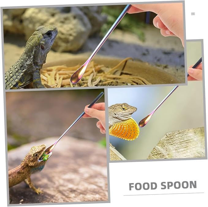 Kisangel 3pcs Small Lizard Food Spoon for Pet Feed Water Scoop Mixing Stirring Function Pet Supply